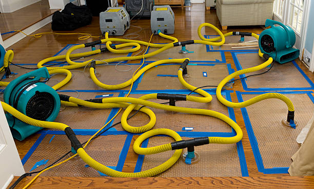 Professional Burst Pipe Water Damage technician working in Belchertown, MA